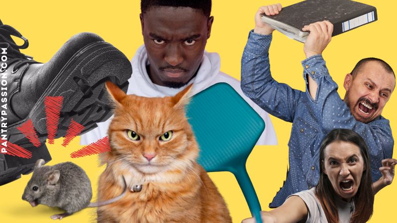 Collage of people who hate mice and want to kill them - including a cat.