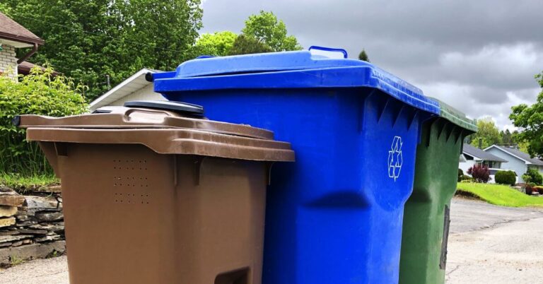 Garbage containers alongside a residential street.