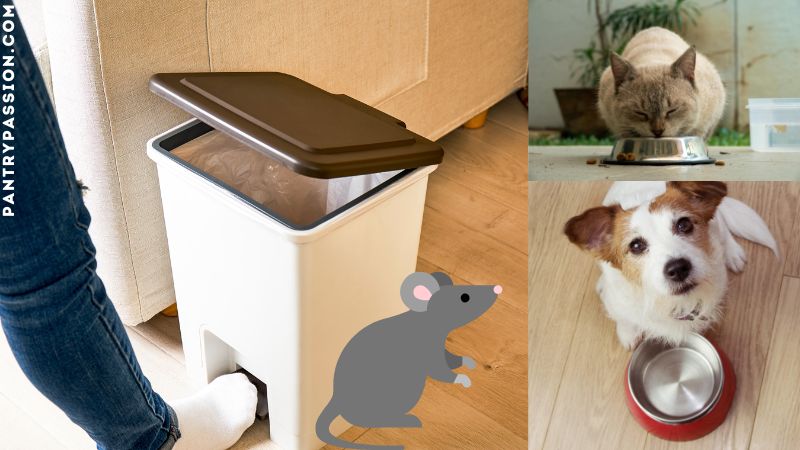 Mice are attracted to kitchen waste cans, dog food, and cat food.