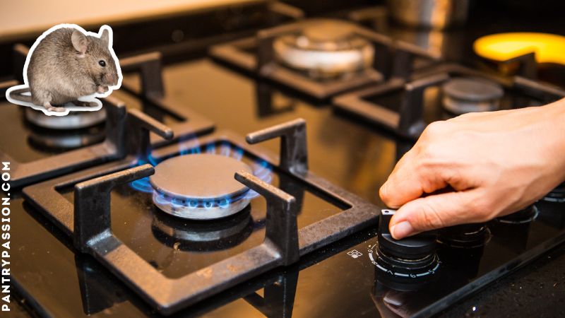 Person starting a gas stove; mouse pictured in corner.