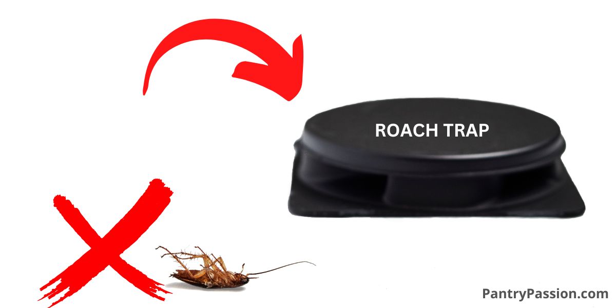 I Discovered How to Get Rid of Larder Beetles Pantry Passion