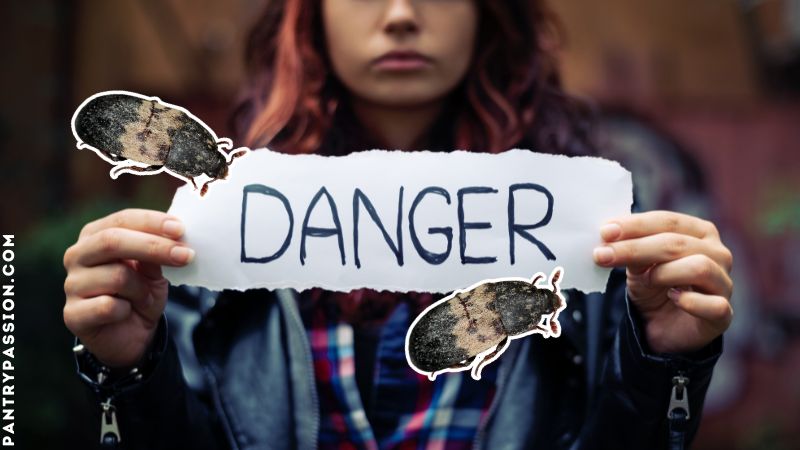 Woman holding a sign with words "DANGER" - pictures of larder beetles crawling over it.