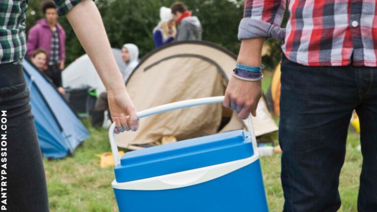 Two men carrying a cooler because they have camping foods and no refrigeration