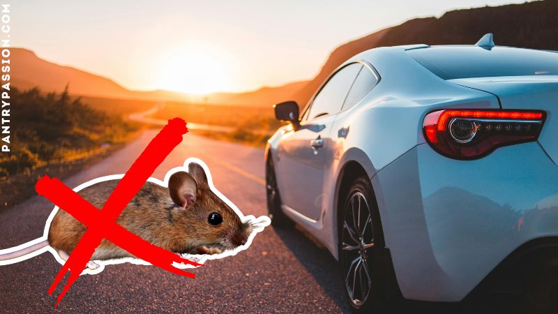 How to Keep Mice Out of Cars, RVs, Boats, Motorcycles & Farm Equipment