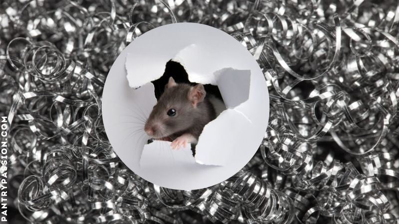 The COMPLETE How to Mouse-Proof GUIDE: Materials, Products & Strategy