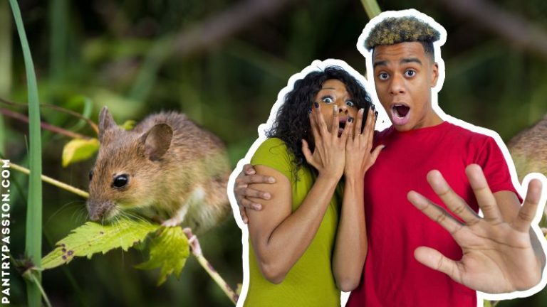 Mouse perched on top of a plant, a couple nearby horrified.