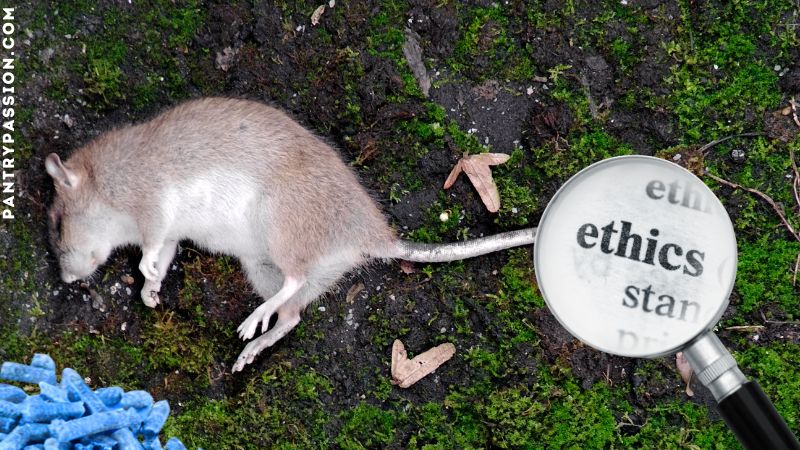 Dead rat, in corner blue mouse poison, magnifying glass with the word "ethics" highlighted.