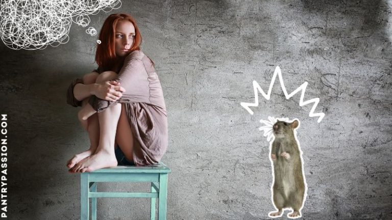 Woman crouched on chair with depressed thoughts; rat in foreground.