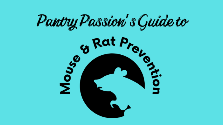 Graphic of rat.