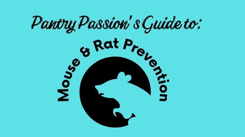 Guide to Mouse & Rat Prevention