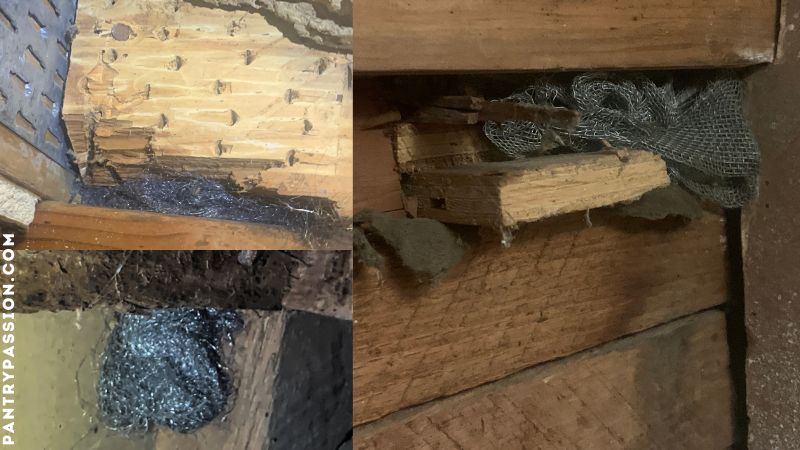 Examples of plugging entry points into attic with steel wool and hardware cloth.