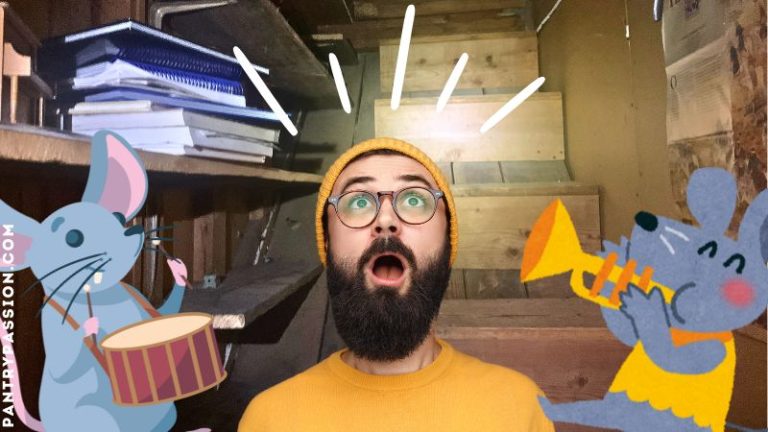 Man disturbed, hearing mouse sounds in walls and attic.