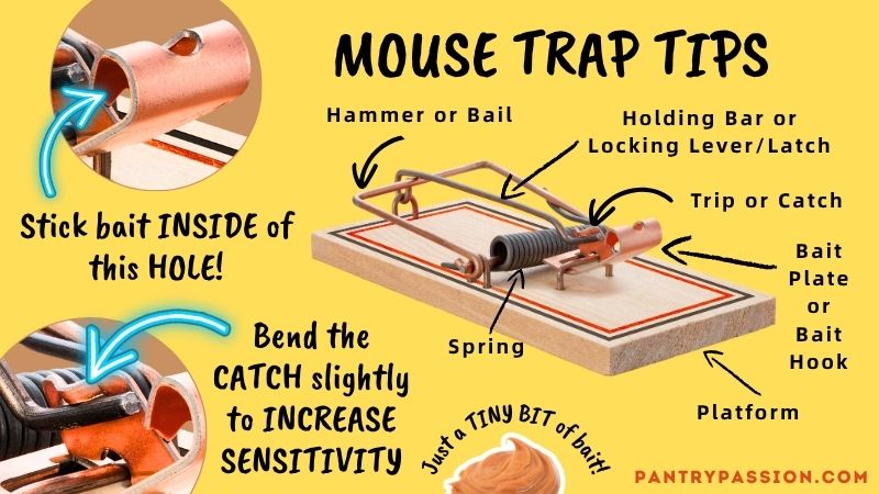 Parts of a mouse trap - mouse trap tips