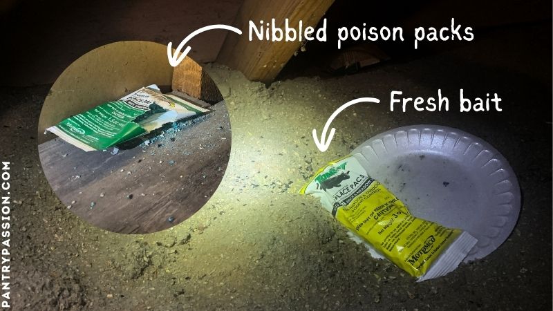 Rat poison packets in attic.