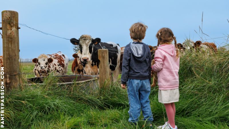 Kids touring a dairy farm.