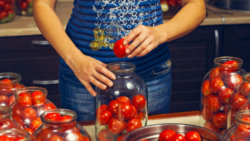 Homesteader canning tomatoes.