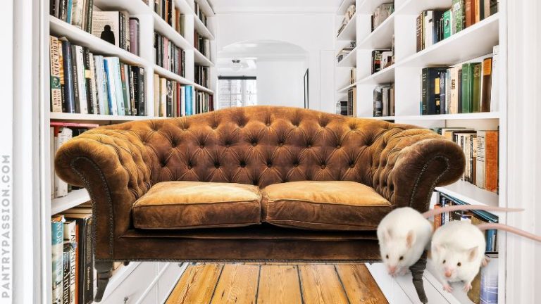 Beautiful tufted leather couch with library in background, white mice in foreground.