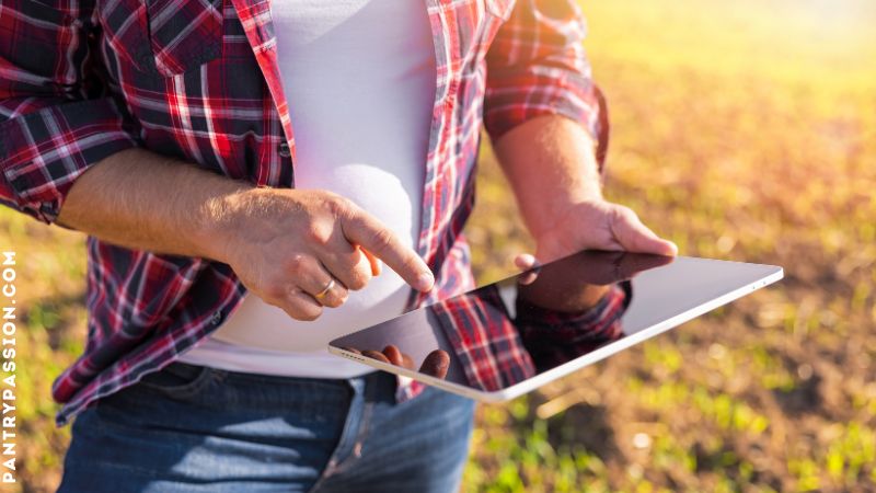 Homesteader in field looking at Apple Ipad.