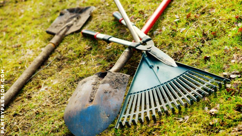 A selection of tools like rakes, shovels, and lopping shears for farmers.